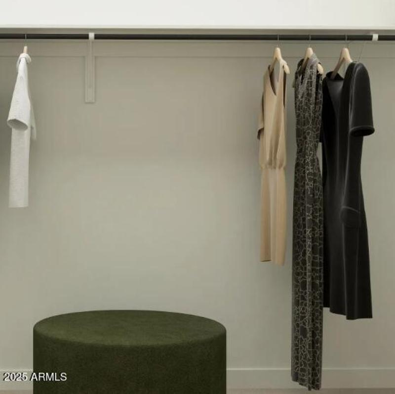 Owners Walk in Closet