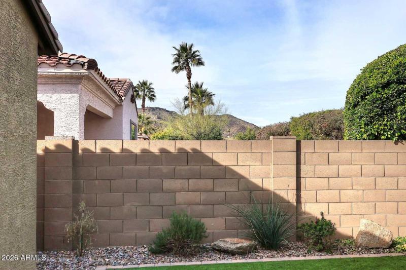 Backyard-Mountain View