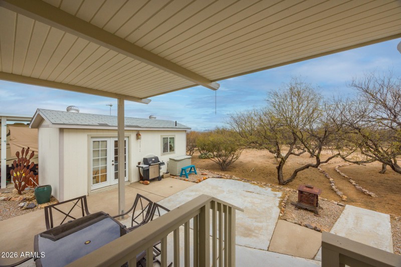 1030-barrelcactus39_mls-13