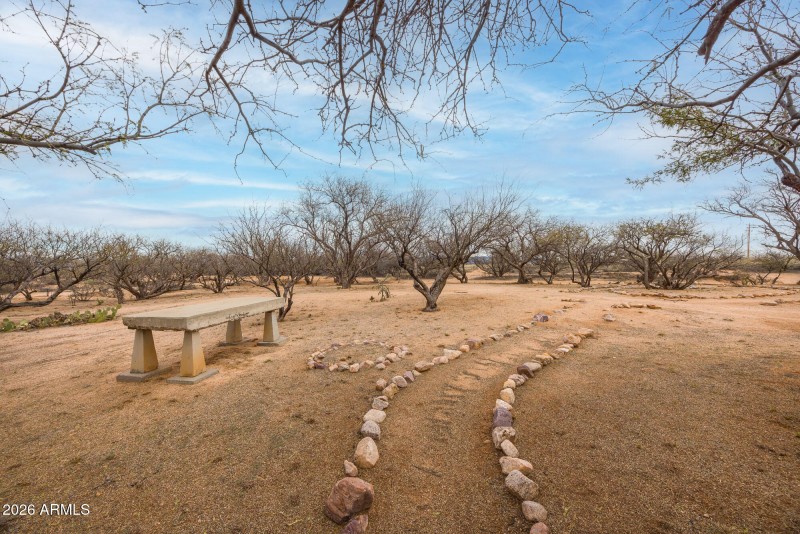 1030-barrelcactus39_mls-19