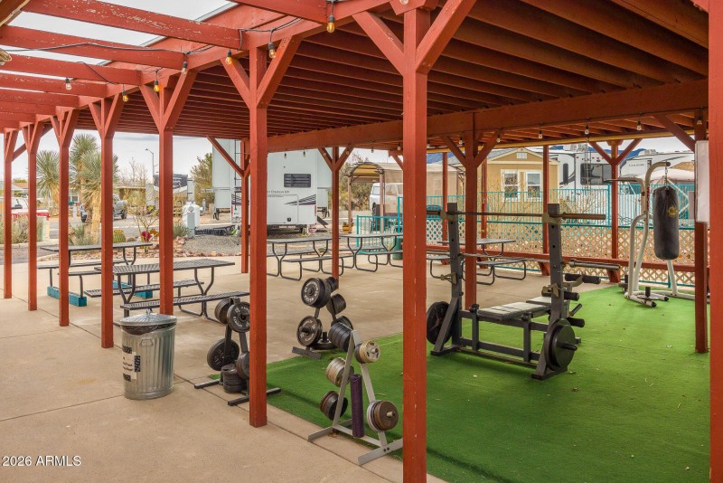 1030-barrelcactus39_mls-36