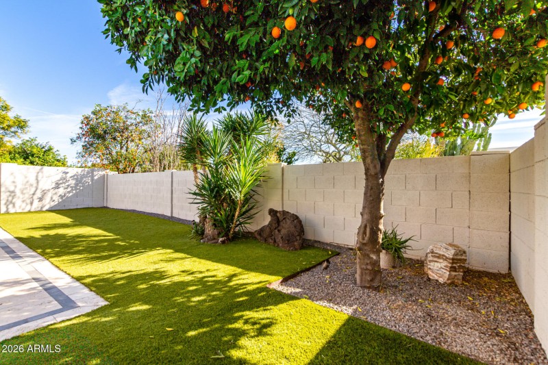 Low Maintenance Back Yard