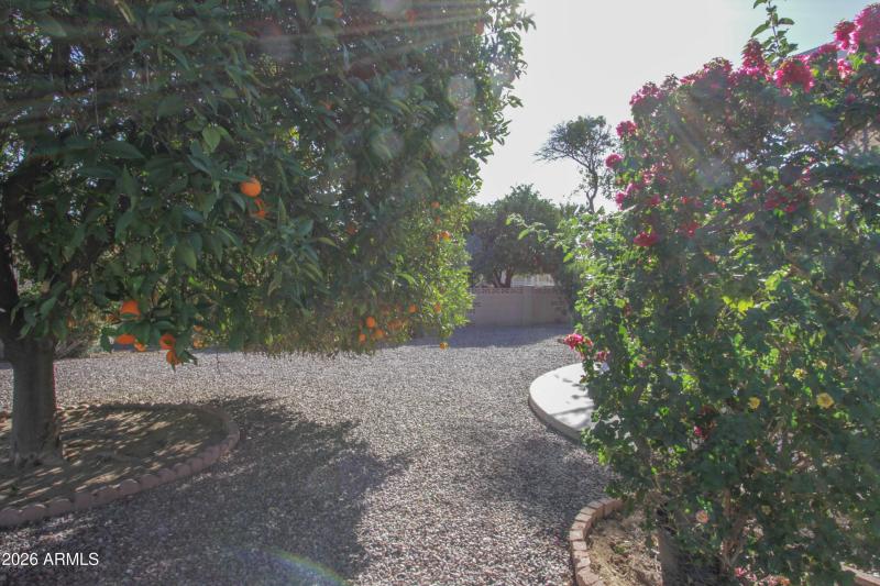 10729 W Amber Trl-14