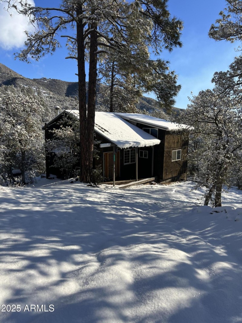 Cabin in the snow
