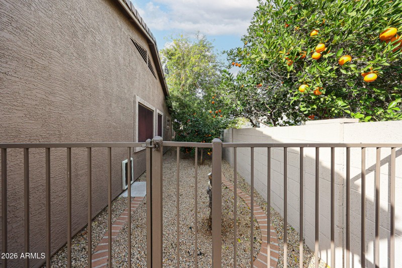 SIDE YARD FOR THE DOGS