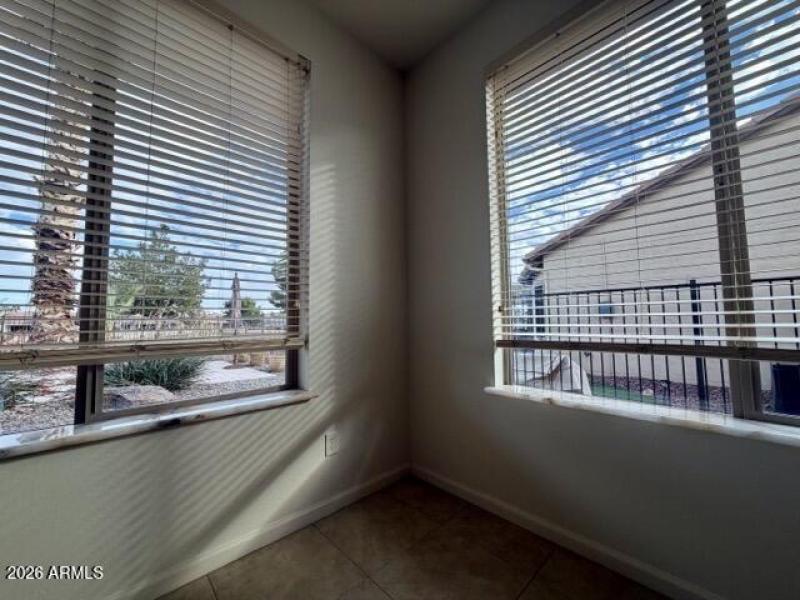 IMG_2391 Medium Large