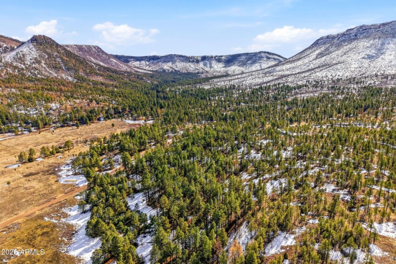 9CR2269-Nutrioso-AZ-41