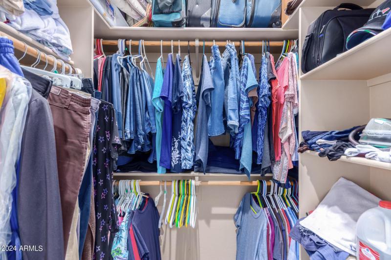 0031-31-Gelding Lane