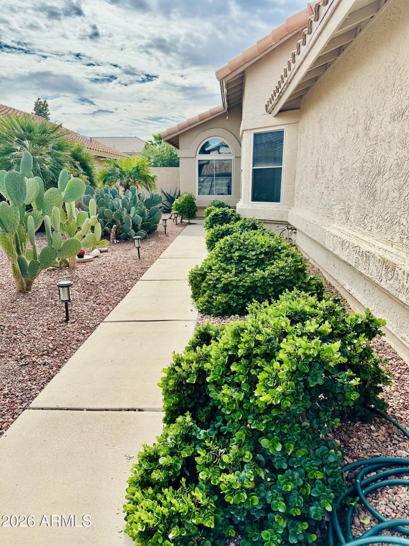 4349 E Chuckwalla Cyn