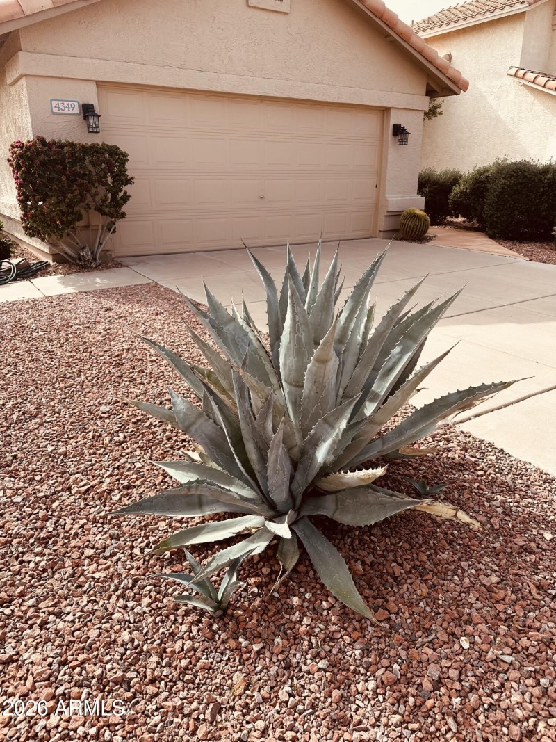 4349 E Chuckwalla Cyn