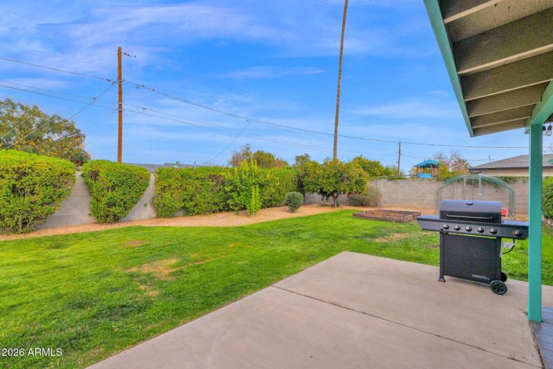 28-web-or-mls-P1460795