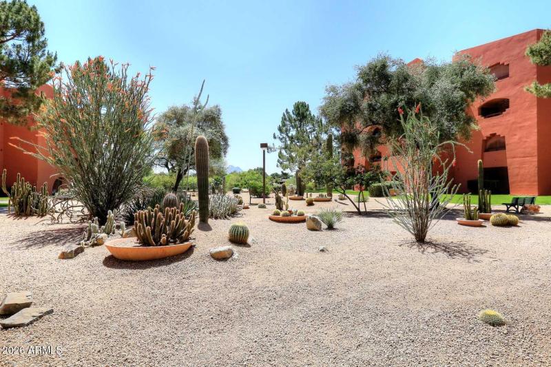 Anasazi Village-Cactus Garden