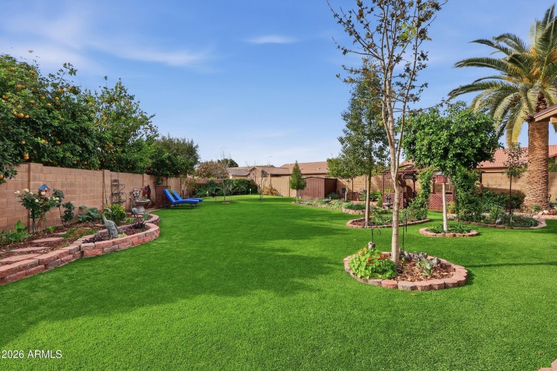 Gorgeous Low Maintenance Yard