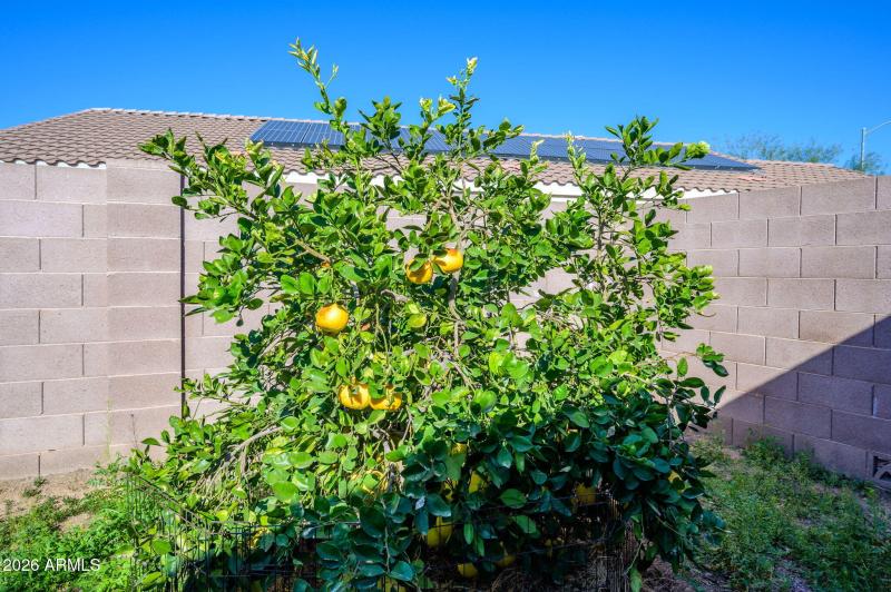 15-web-or-mls-160th-22