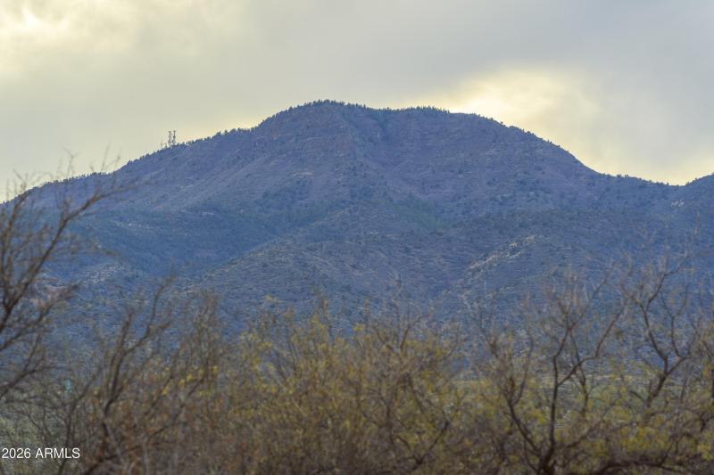 Mingus Mt. - Close Up