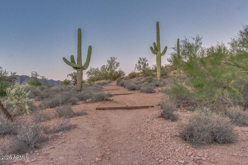 15_Walking Trails_Superstition Foothills