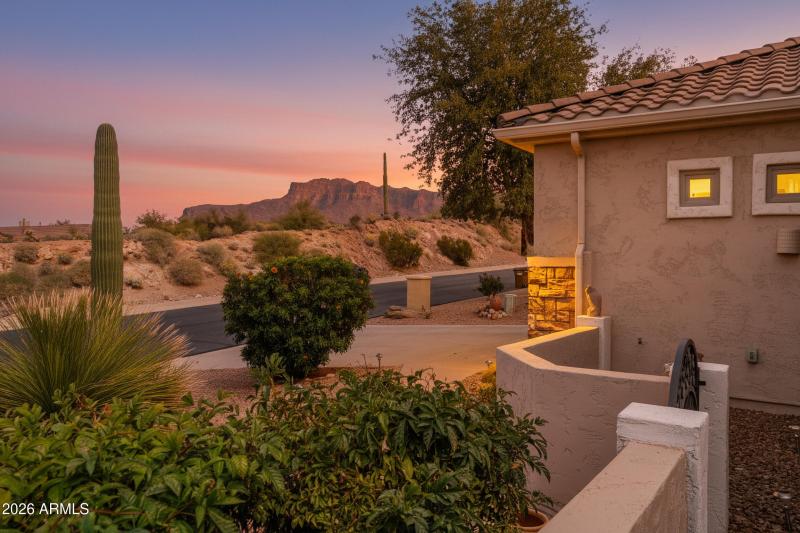 8207-E-Fairy-Duster-Dr-VT-2