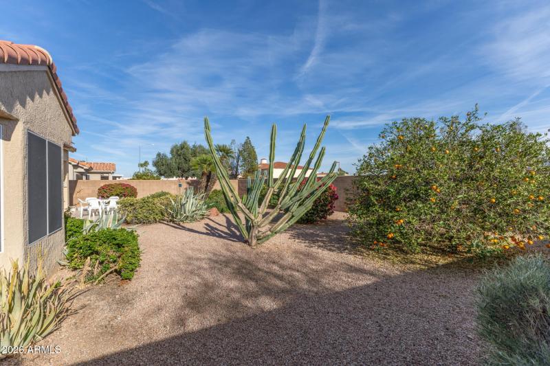 30 - Cavalcade 13523