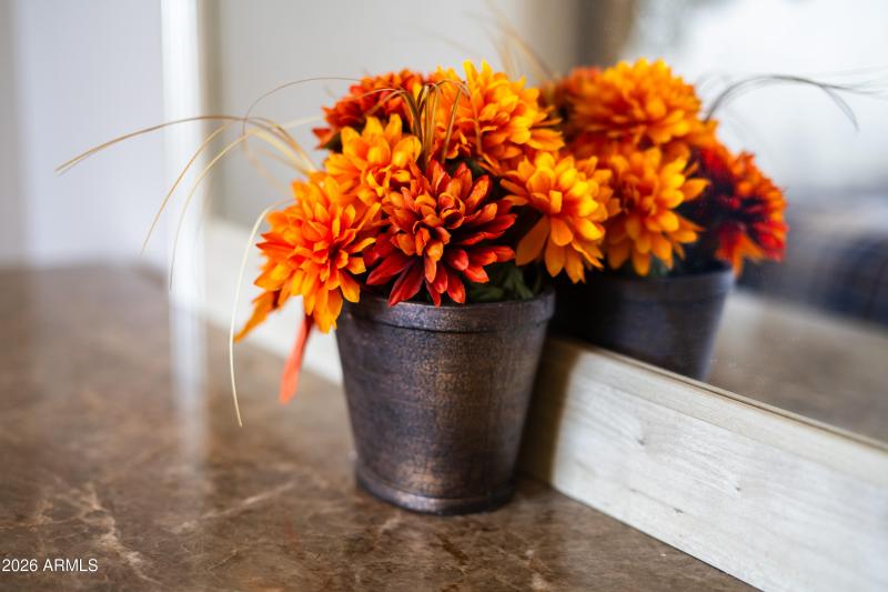 35834 W Cartegna Ln-104