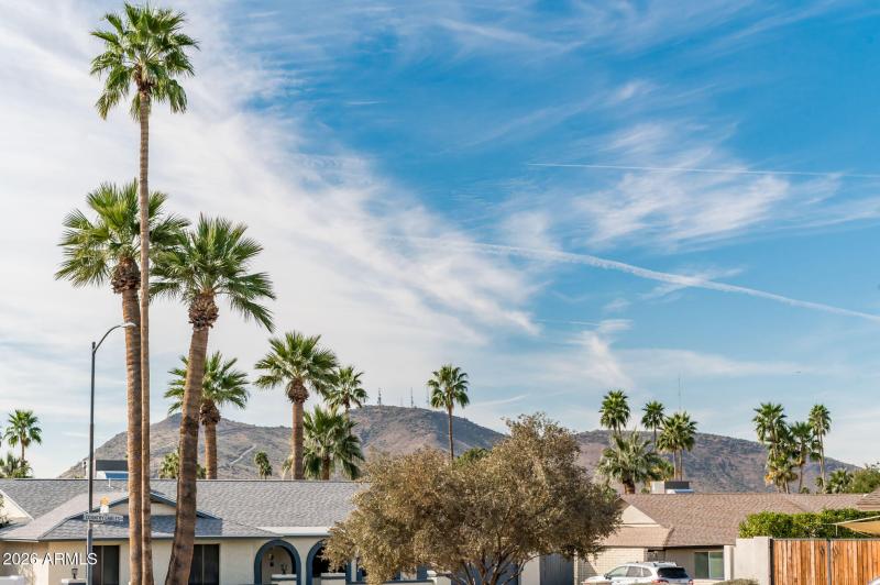 15042 N 6th St - MLS-74