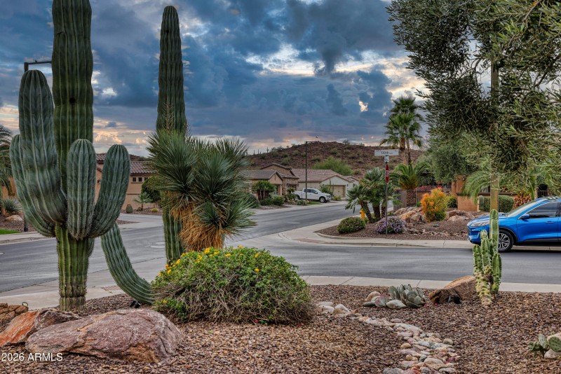 Courtyard Mountain Nightview