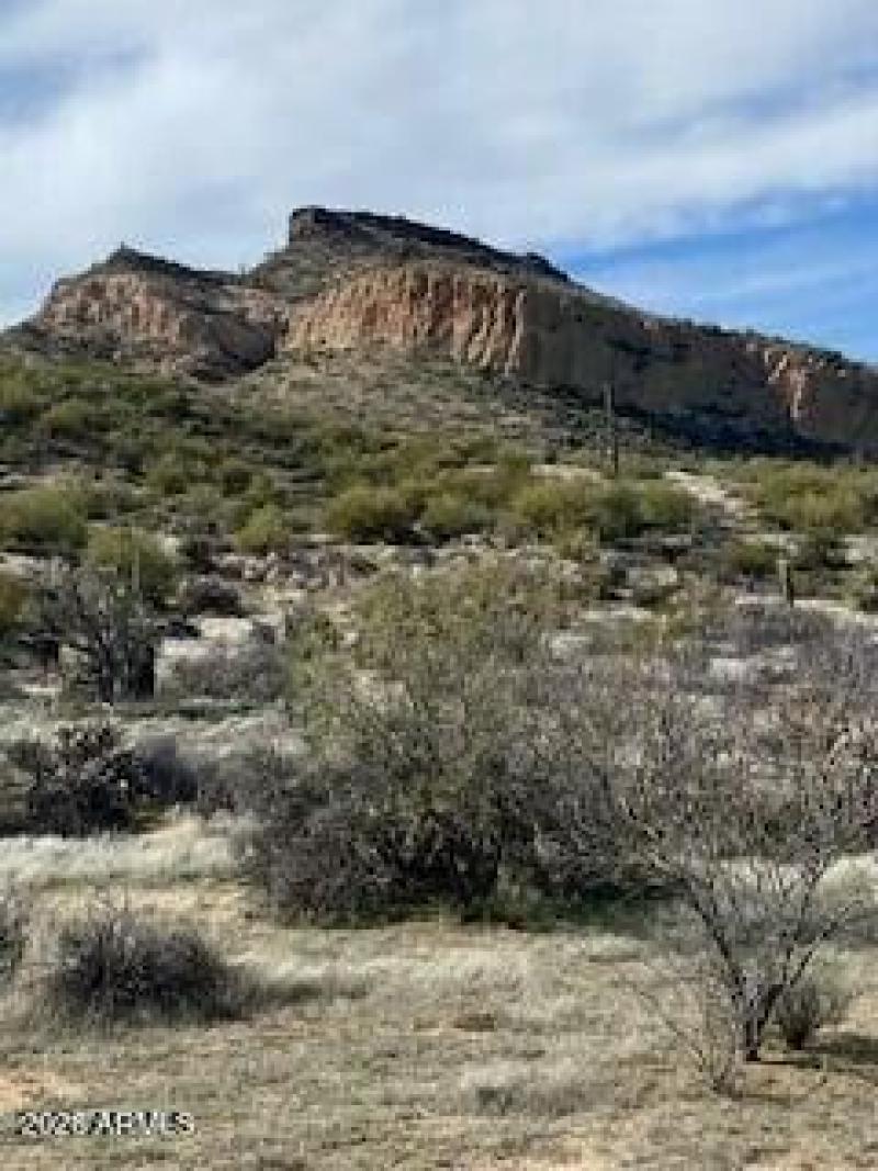 McDowell Sonoran Desert Trails
