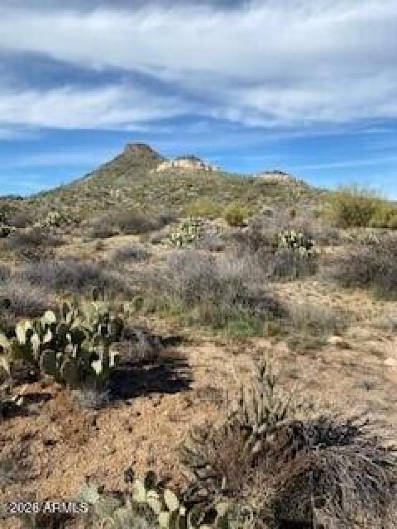 McDowell Sonoran Preserve