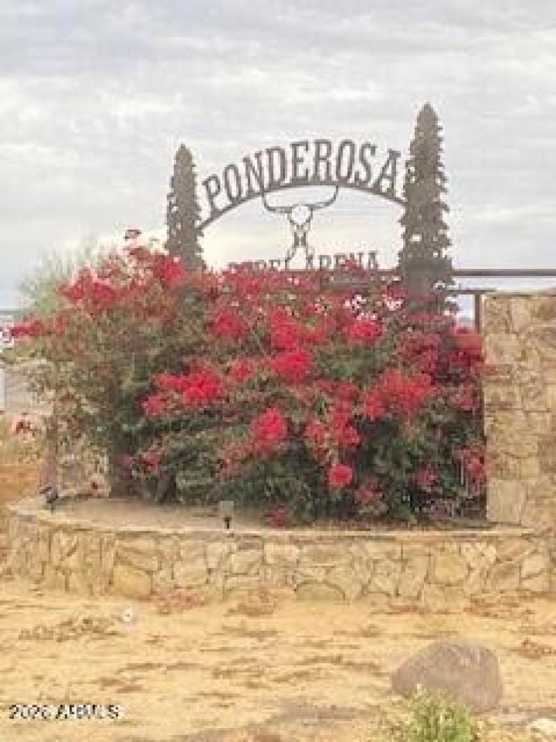 Ponderosa Rebel Arena