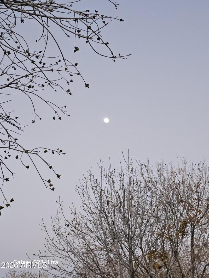 evening stroll in community