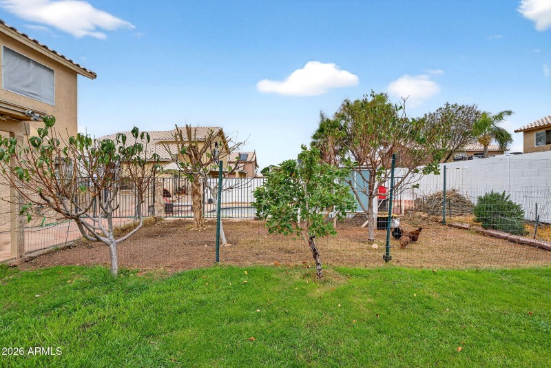 74-web-or-mls-79W Lone Cactus Dr