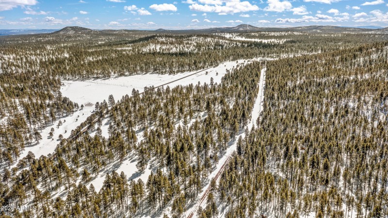 2175 S Eagle Creek Ln Williams-1