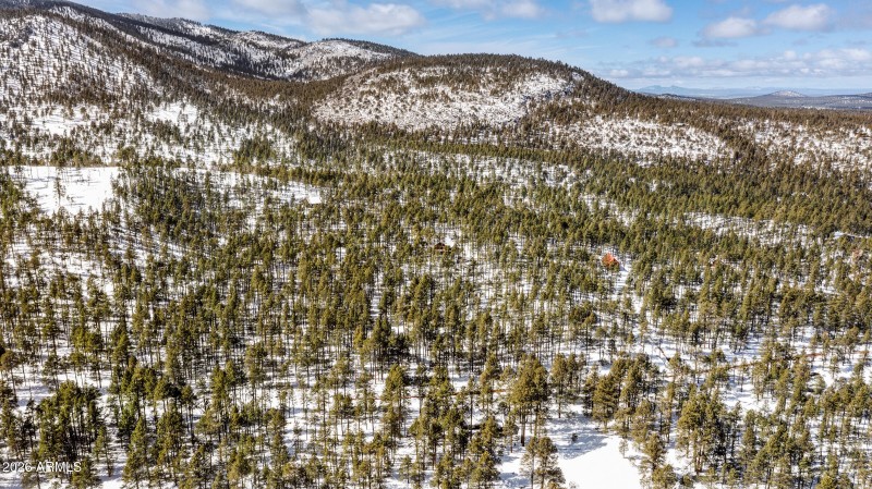 2175 S Eagle Creek Ln Williams-9