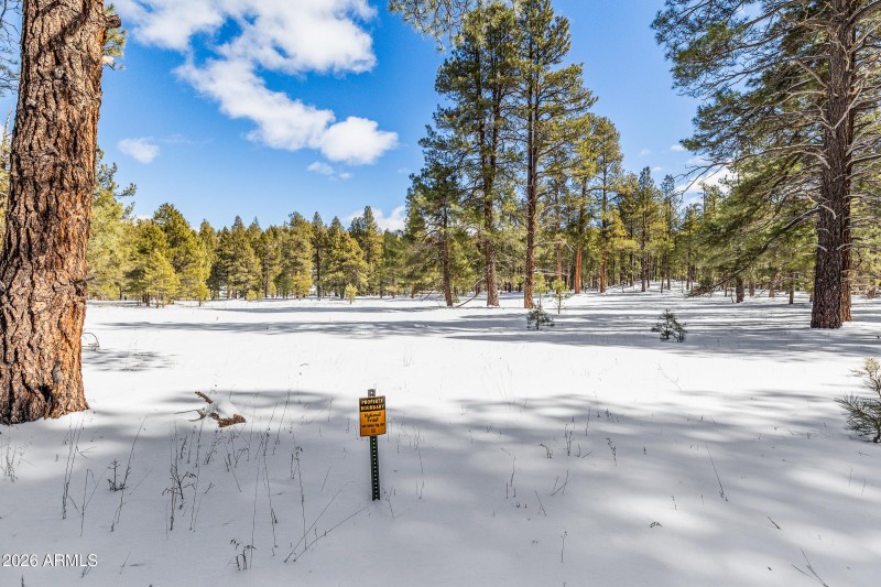 2175 S Eagle Creek Ln Williams-40