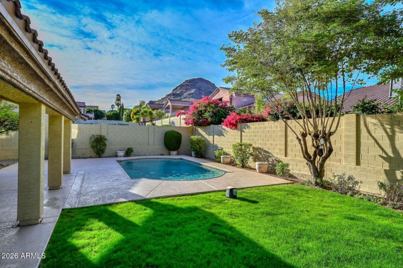 Backyard-Mountain View