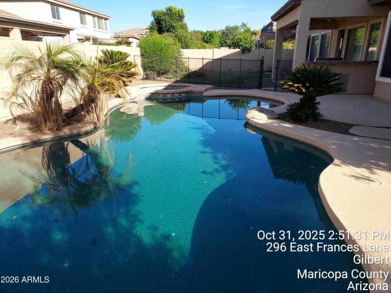 Backyard-05(pool and spa)