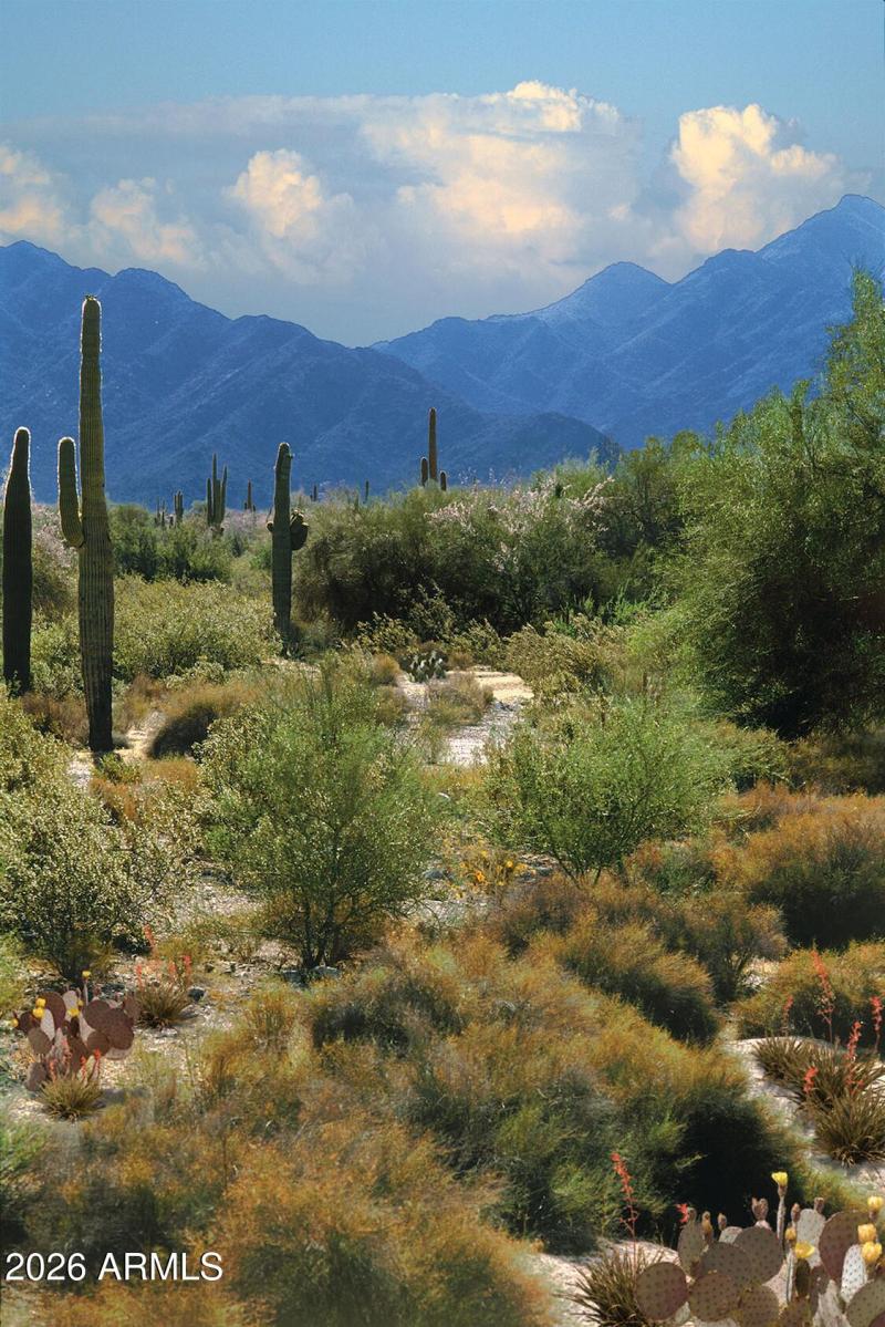 Estrella_Hiking Trails_No People