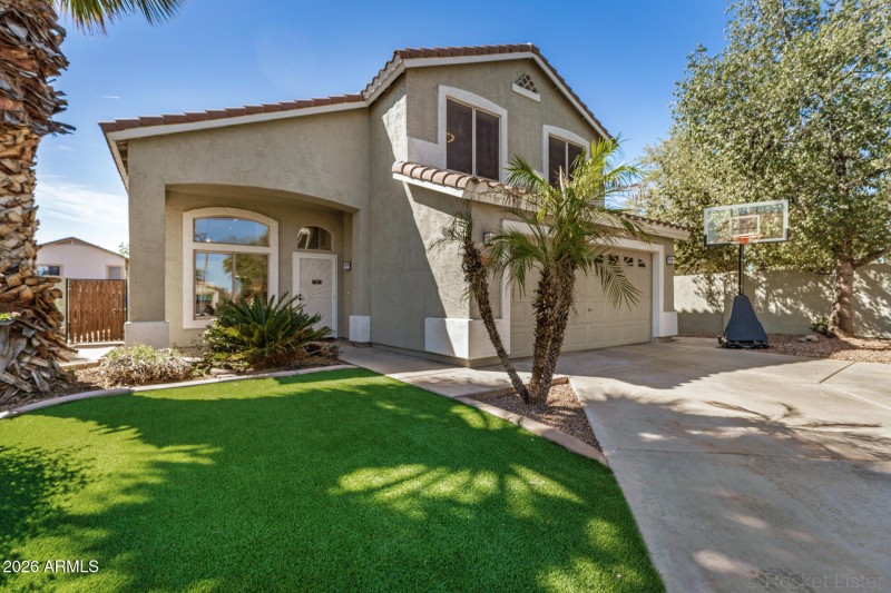 Low-maintenance yard