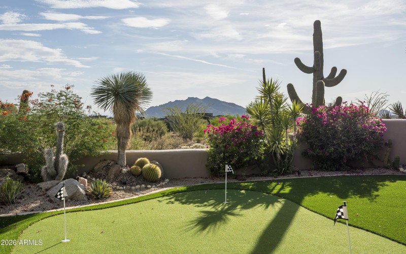 Year Round Black Mtn Views