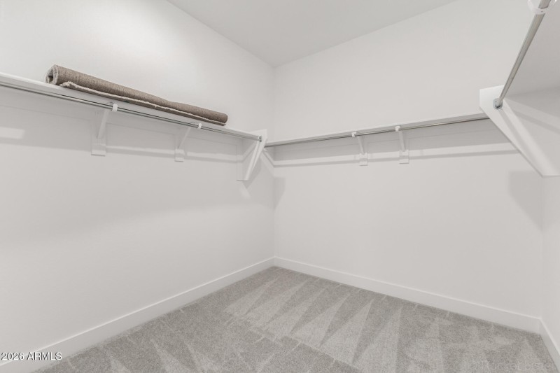 17 - Mecklenburg 2913