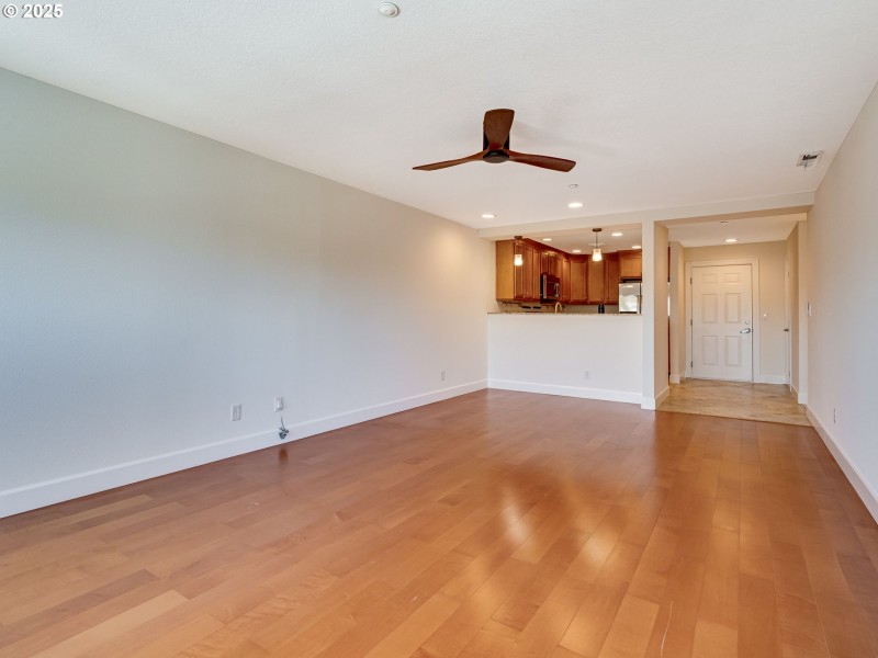 Living Room/Entrance