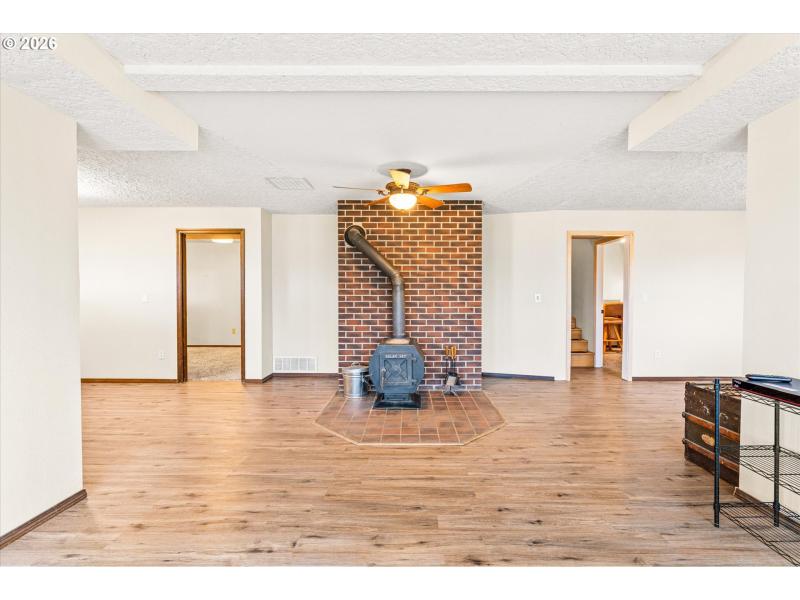 Fireplace Wood Burning Stove/Insert