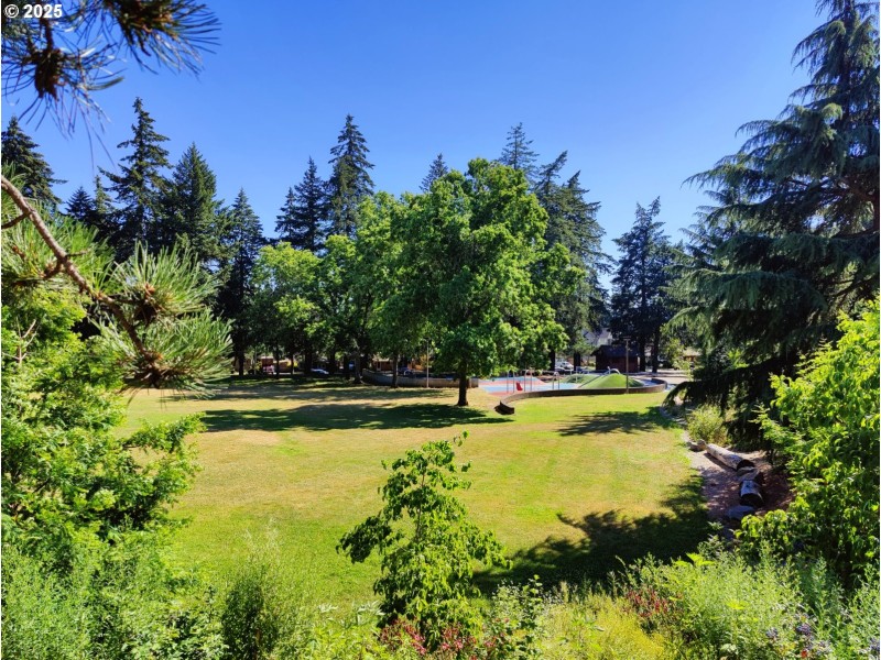 Neighborhood Park