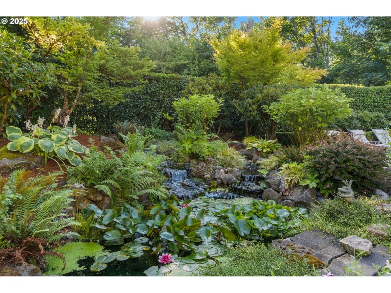 Pond