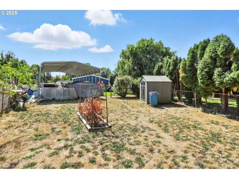 Yard