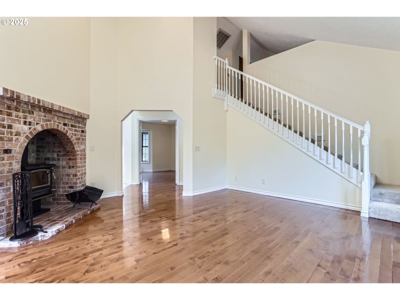 Fireplace Wood Burning Stove/Insert
