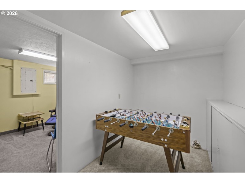 Finished Lower Level