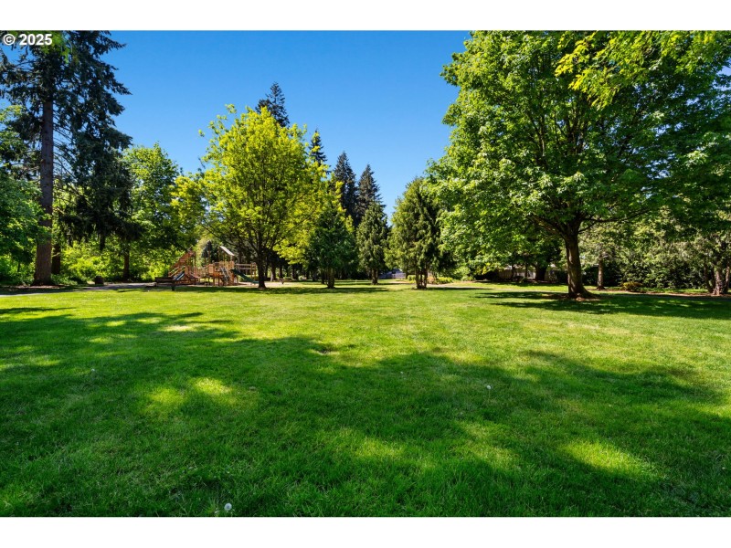 Neighborhood Park