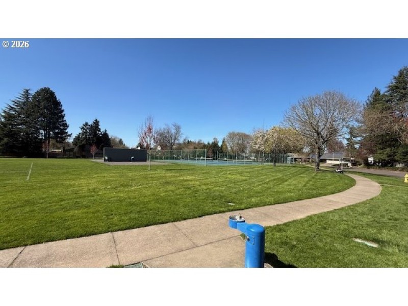 Community Basketball