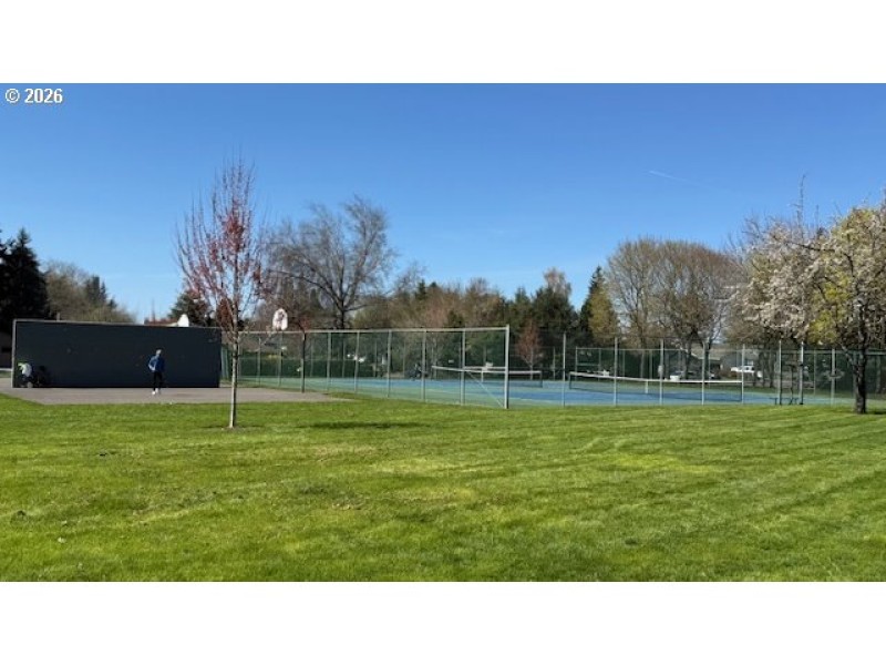 Community Basketball