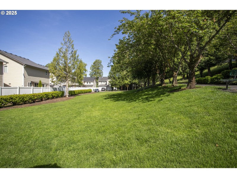 Neighborhood Park